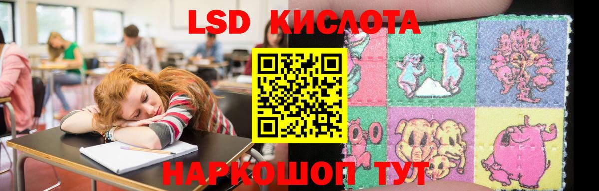 ЛСД экстази ecstasy  Вход с VPN  Ачхой-Мартан 