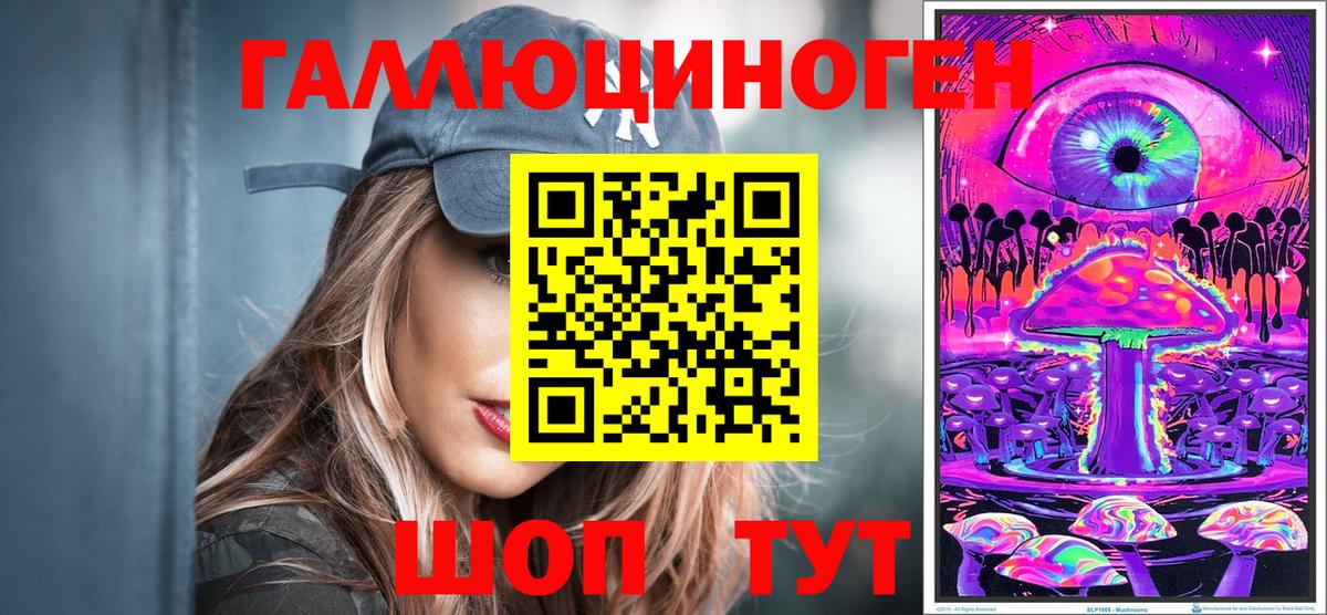 Псилоцибиновые грибы Psilocybine cubensis  Ачхой-Мартан 